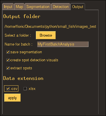 Output tab