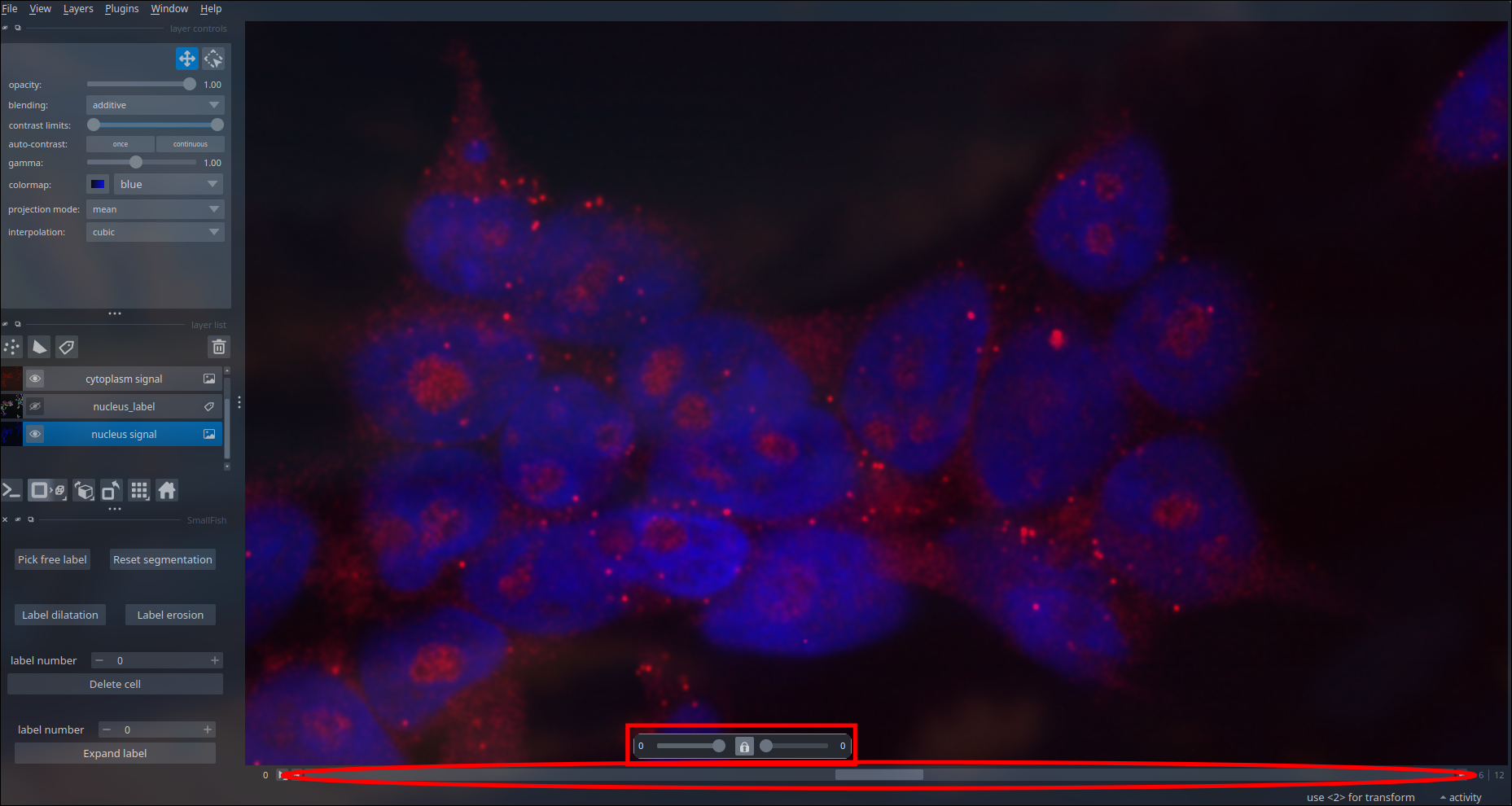 2D napari viewer