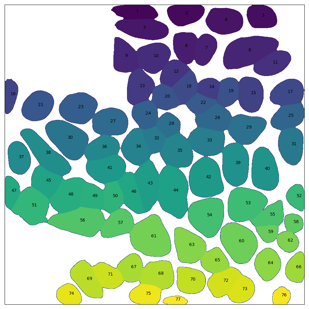 Cytoplasm label map