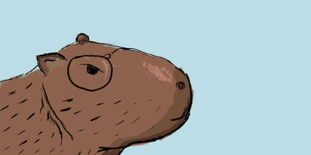 capybara-banner.png