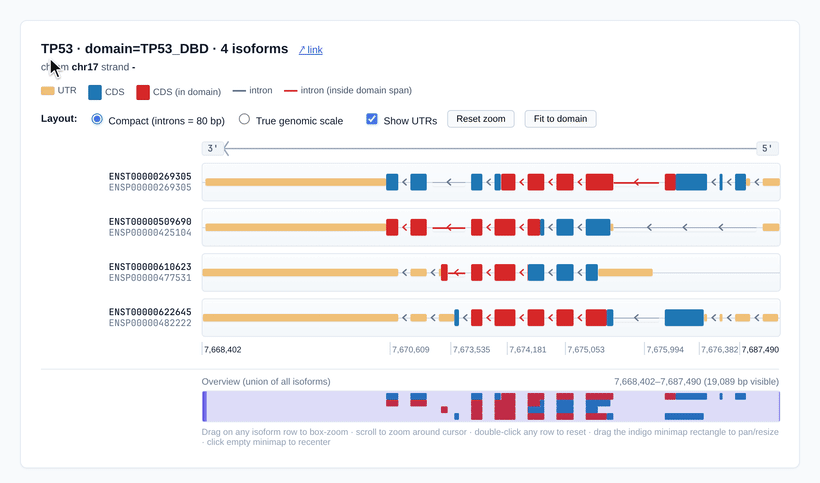 interactive isoform stack viewer