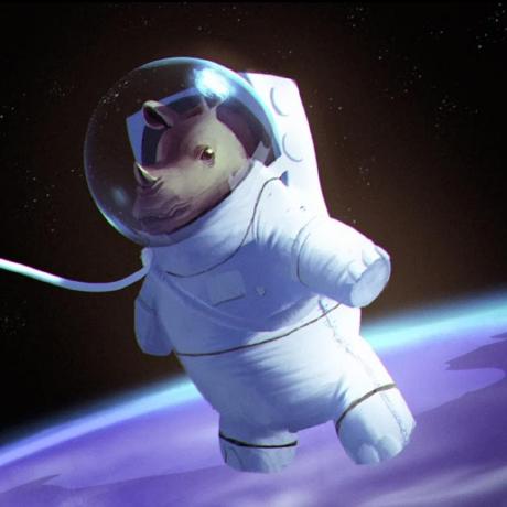 Space-Rhino