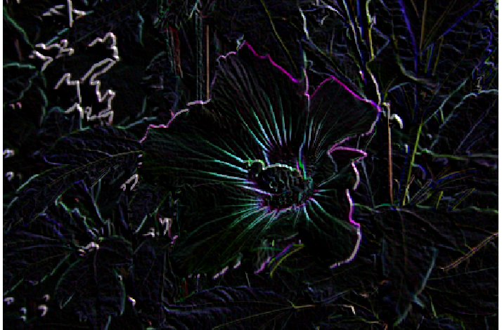 violetbihua