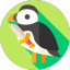 SwordPuffin