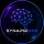 SynapseGrid-Labs