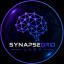 SynapseGrid-Labs