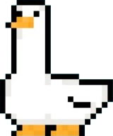 duckfavicon.png