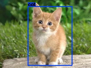 cat_detection_modified_32bits.jpg