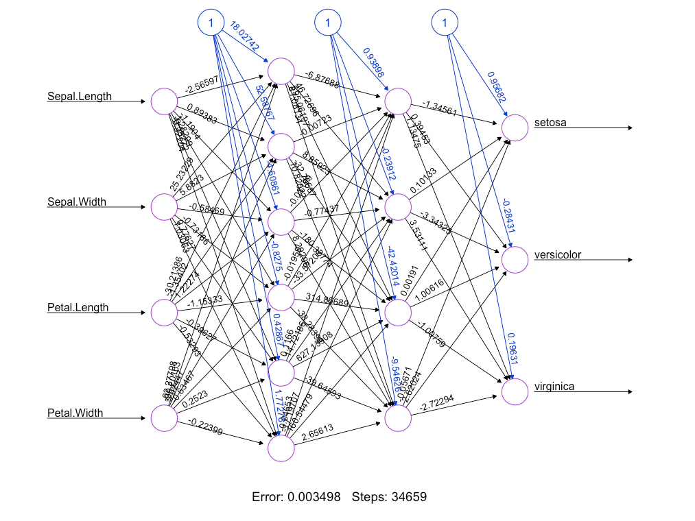 Iris Neural Network Diagram.png