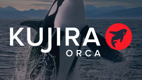orca_cover.png