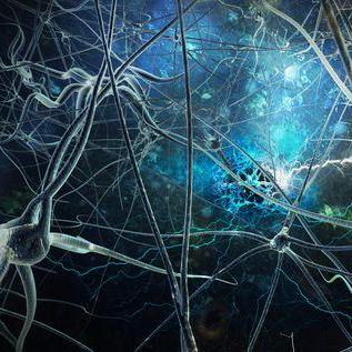 MCP Server Fetch GitHub avatar