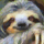 The-CodingSloth