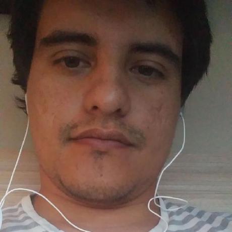 TheBeeProgrammer