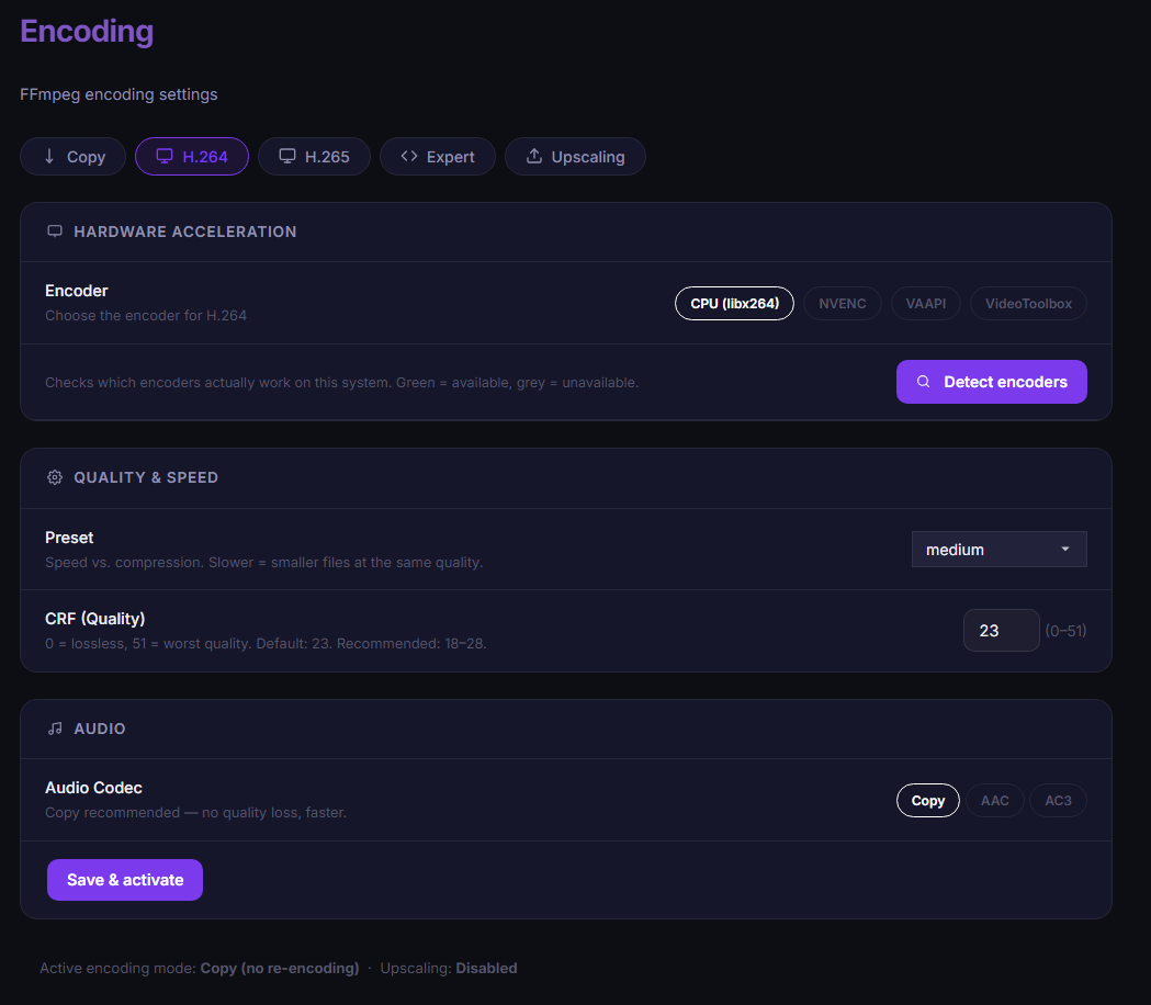 Screenshot: encoding page