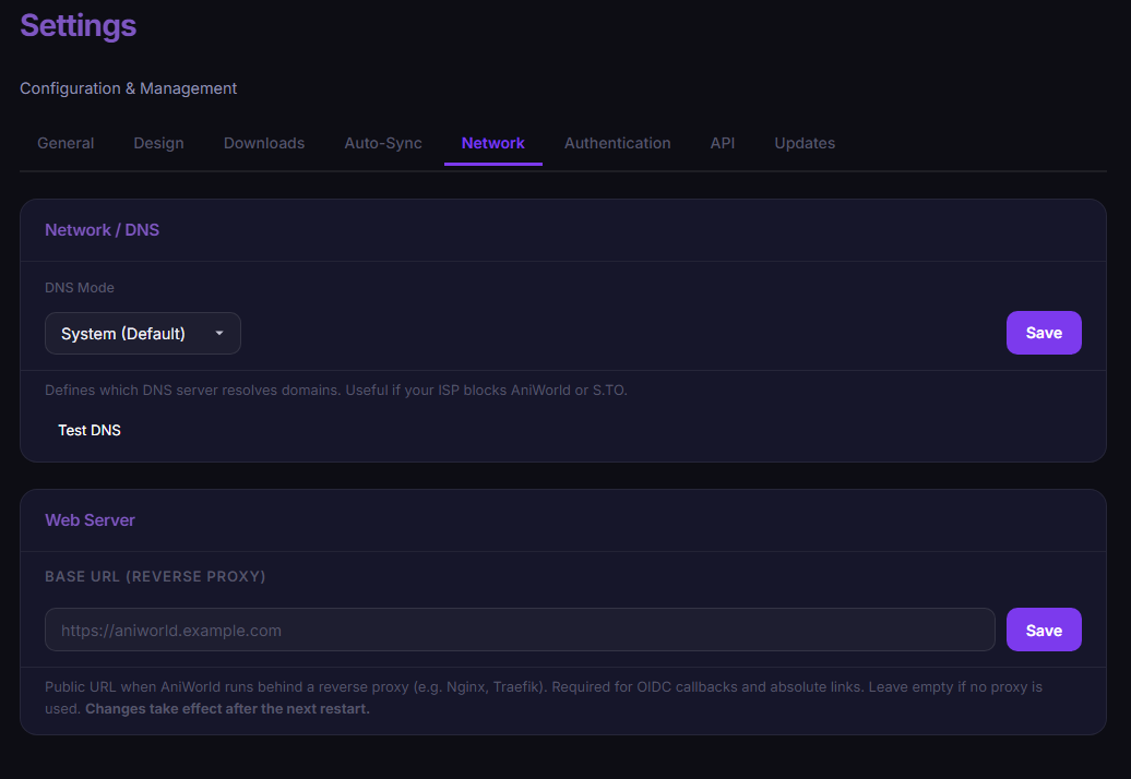 Screenshot: DNS