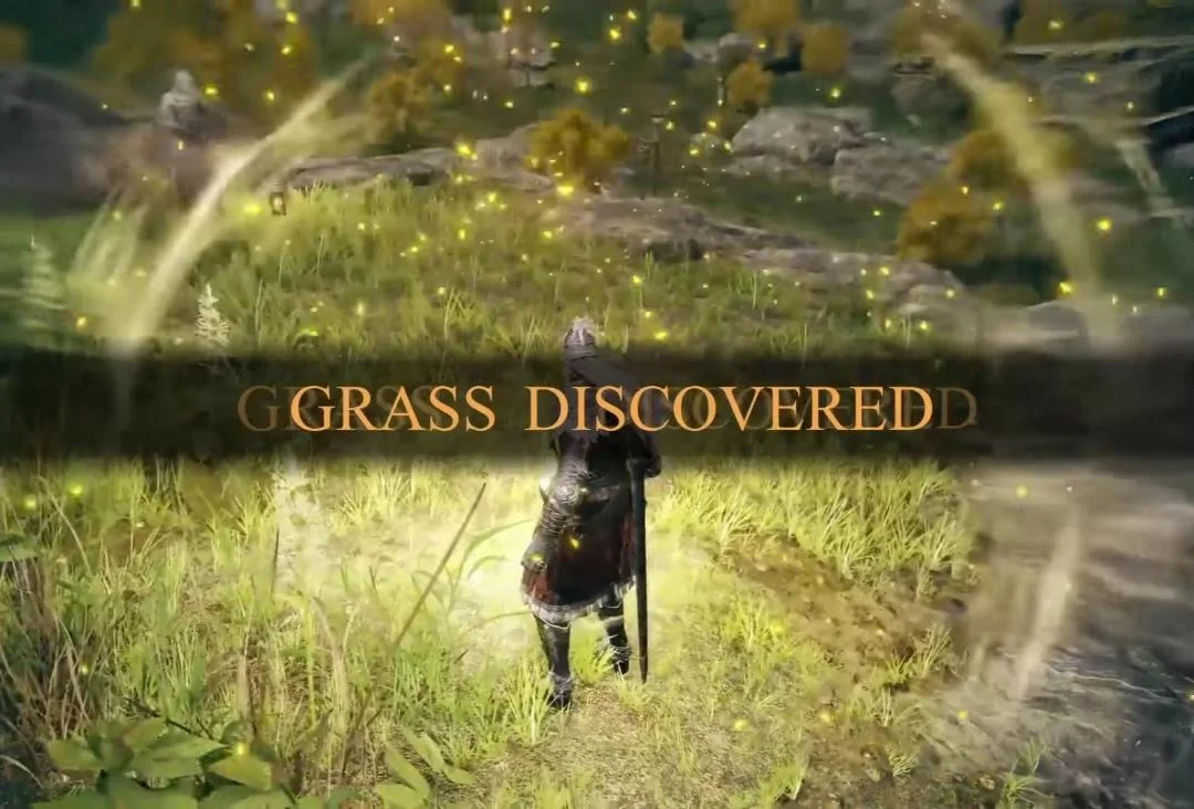 grass discovered.jpg