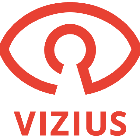 TheViziusGroup