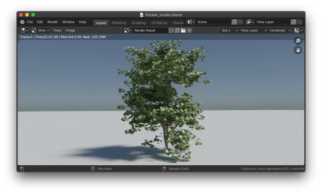 thicket-import-render.png