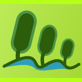 TreeTide