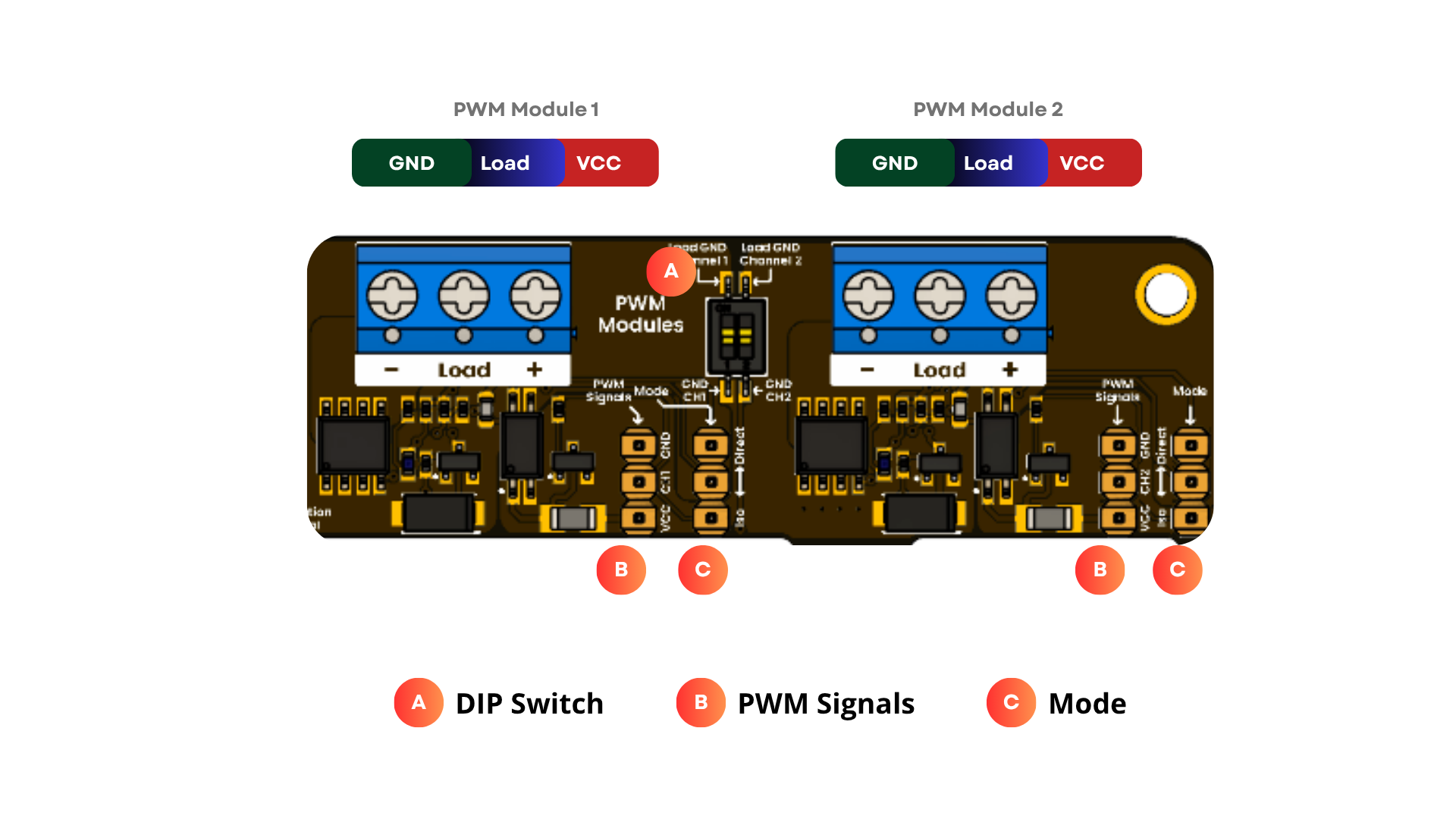 Development Board