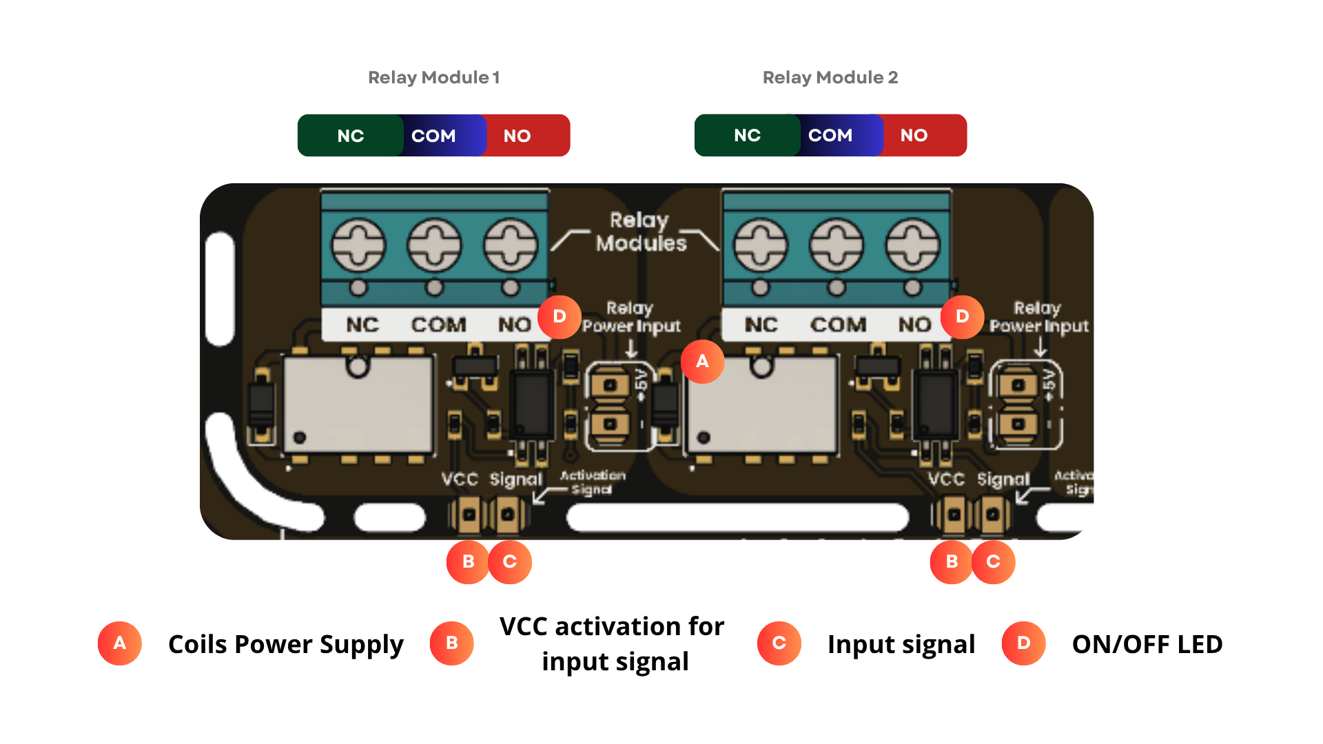 Development Board