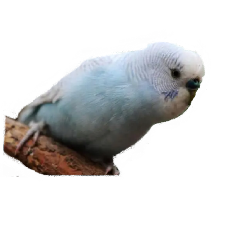 Unakar