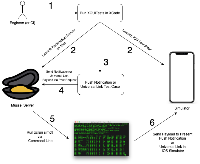 mussel-server-diagram.png