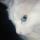 UserTheo02726