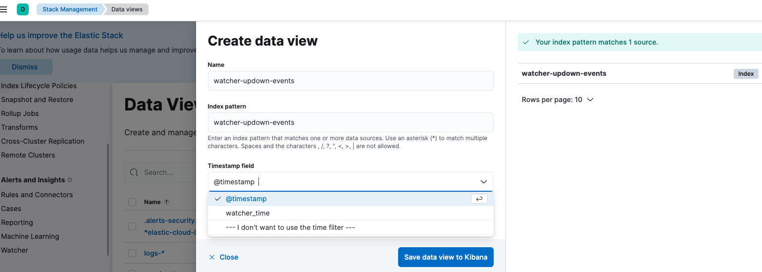 kibana_data_view.png