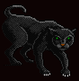 Witch's Cat