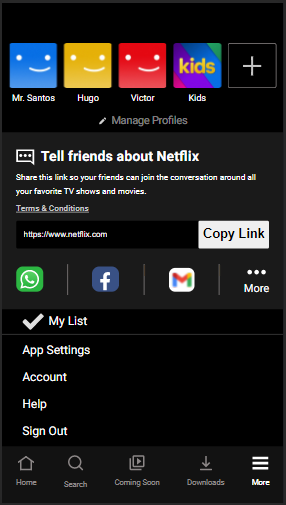 NetflixMobile_MorePage.png