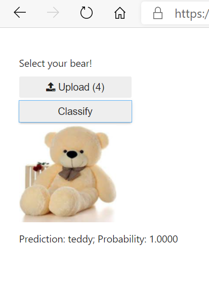 teddy.png