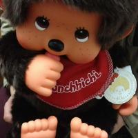 WSmonkey