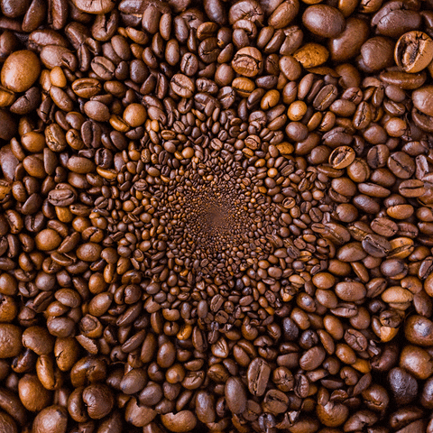 coffee-beans.gif