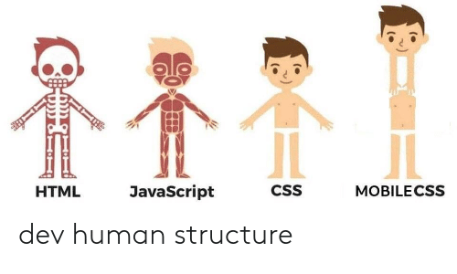 What are Html, CSS & JS.png