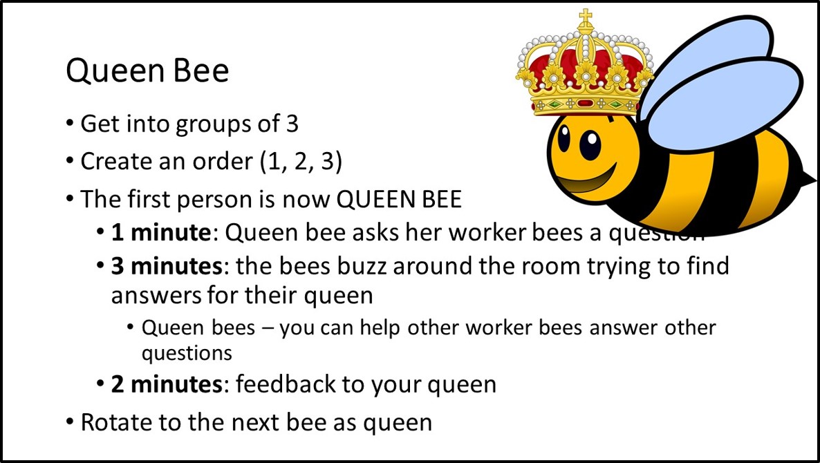 QueenBeeInstructions.jpg