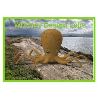 WhitneyDesignLabs