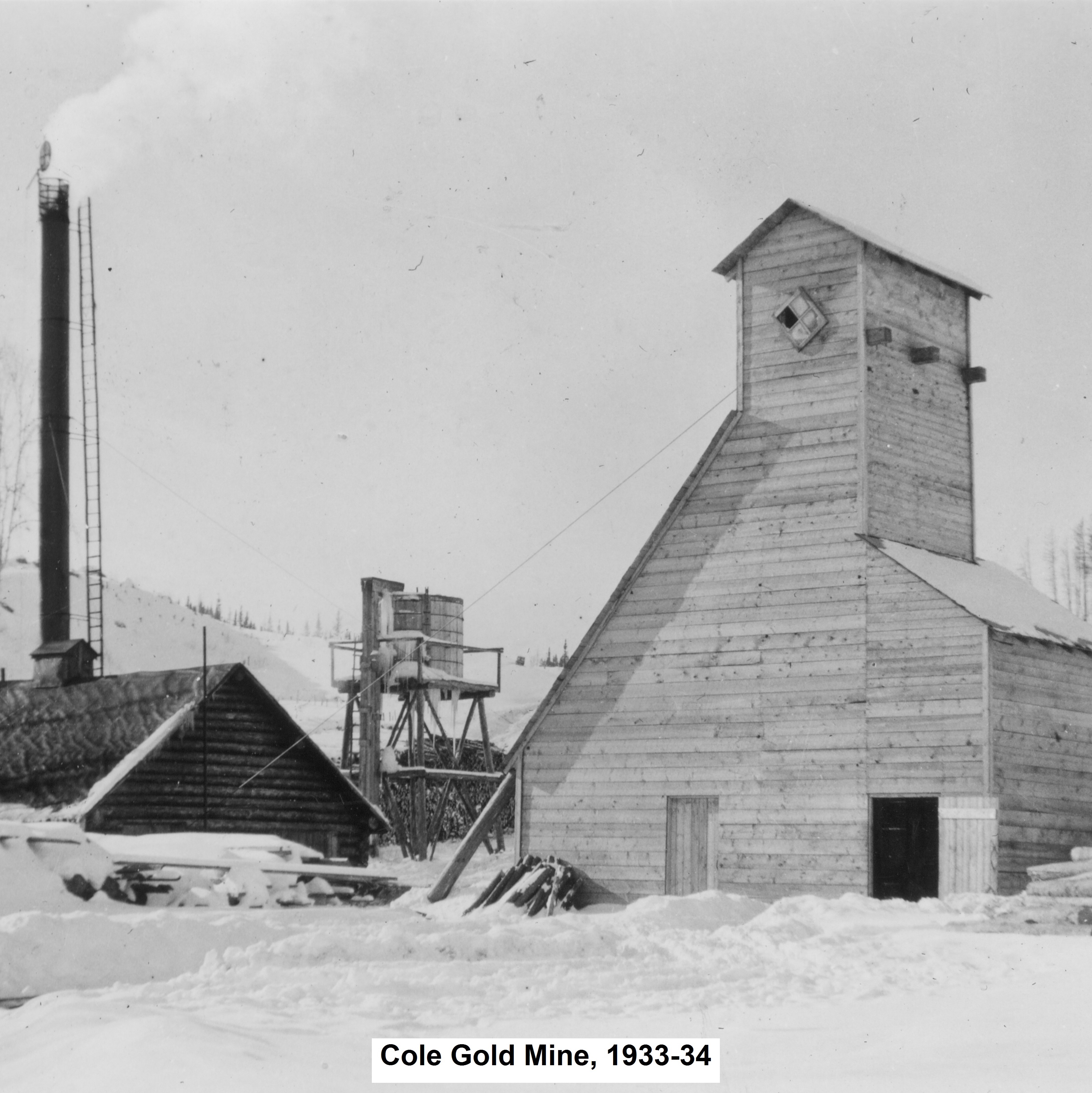Cole Gold Mine, Red Lake District