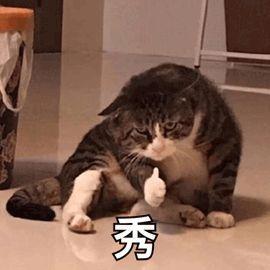 XTZhu