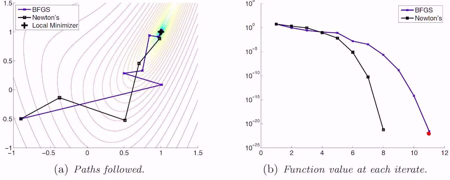 BFGS vs Newton
