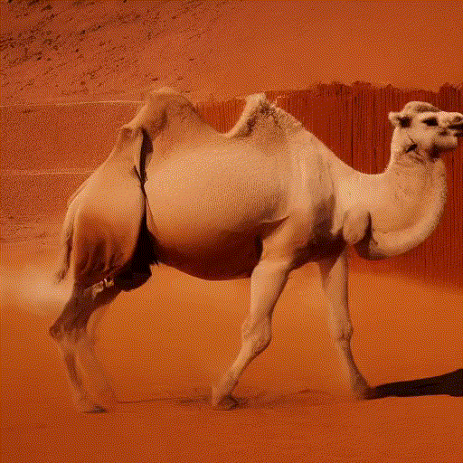 A_majestic_camel_gracefully_strides_across_the_scorching_desert_sands..gif
