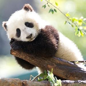 YGuang233