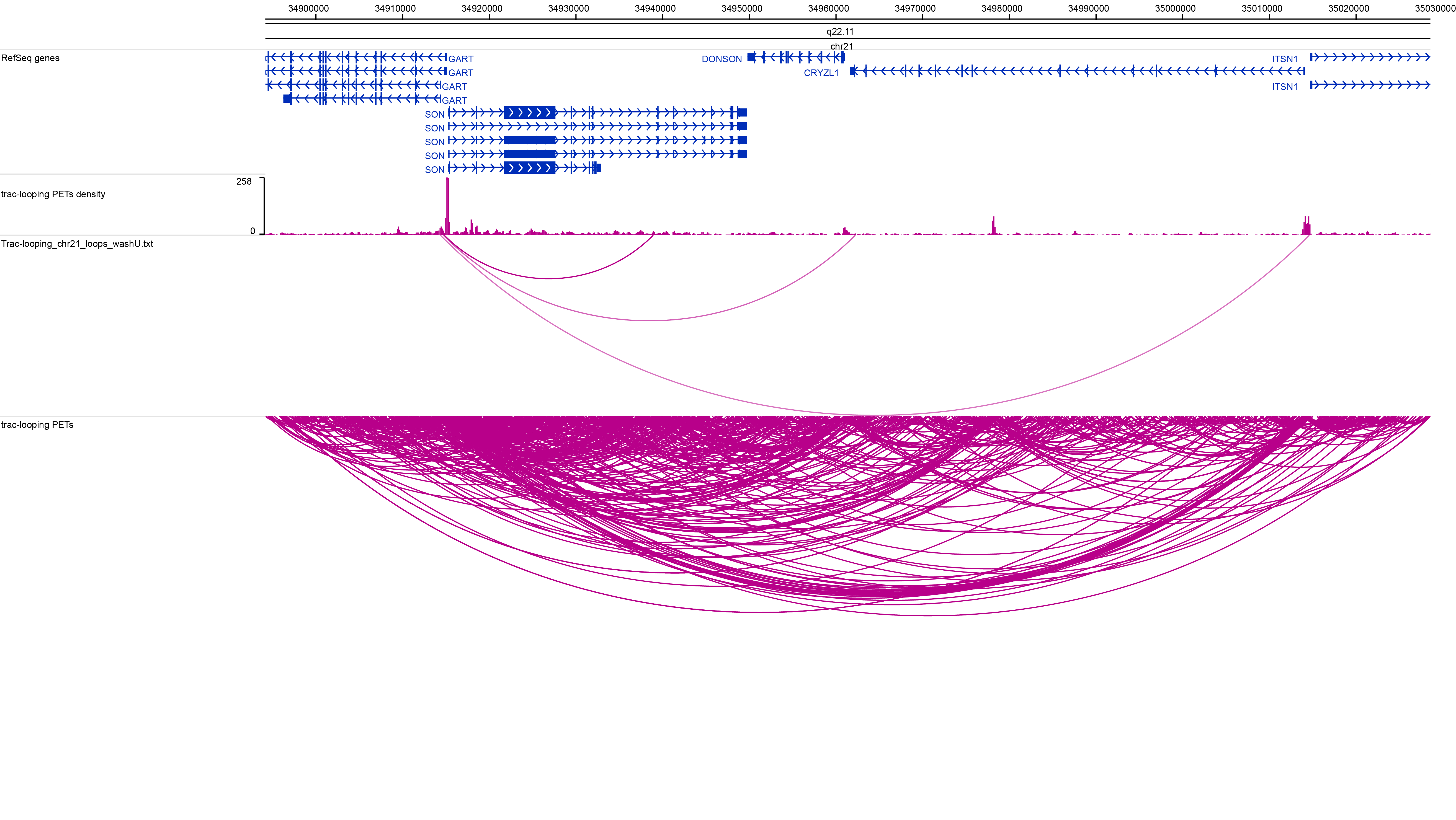 Trac-looping.png