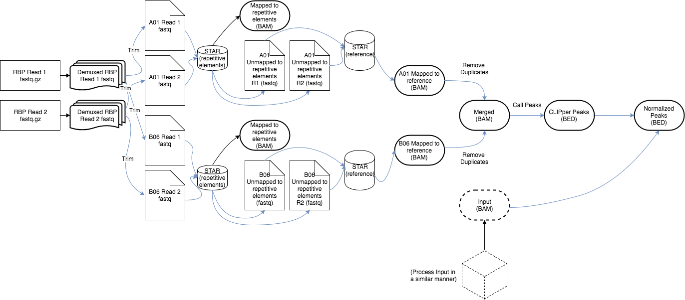 eCLIP-flowchart.png