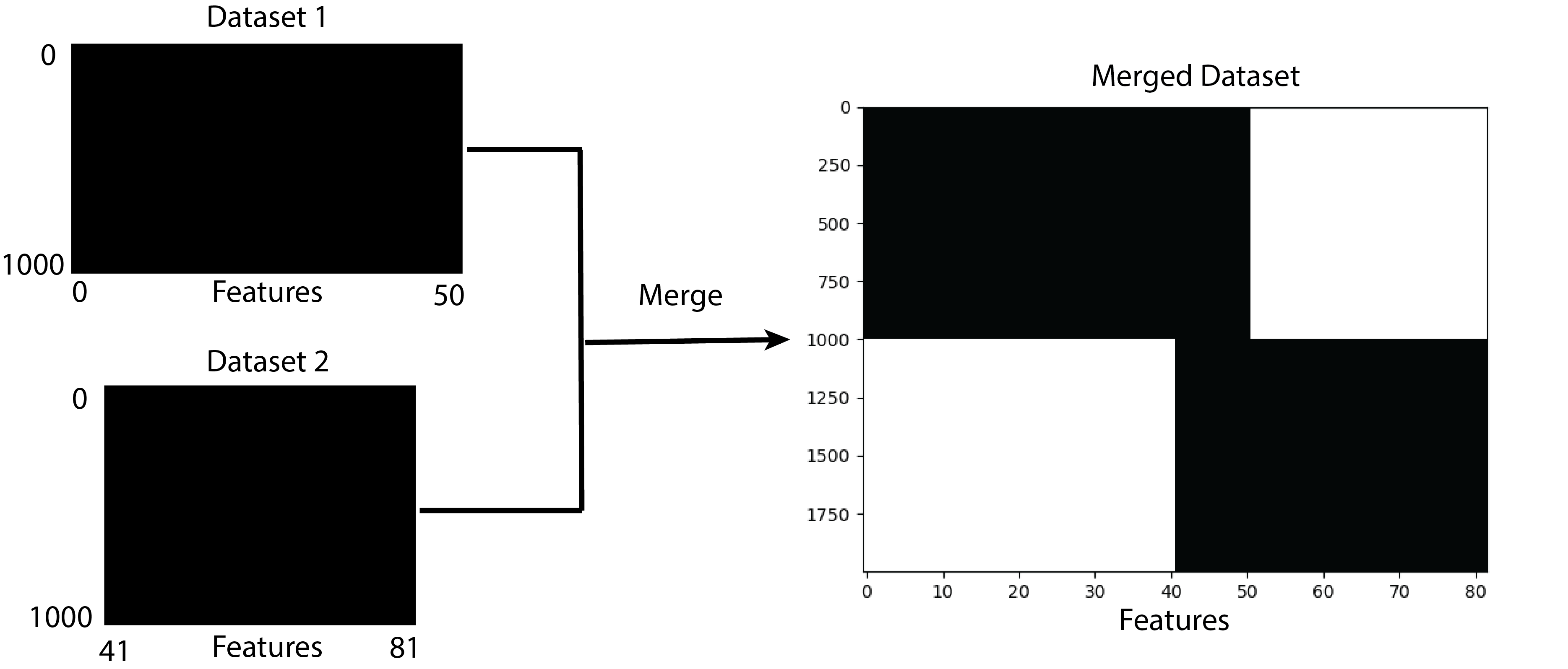 Merging_Datasets.png