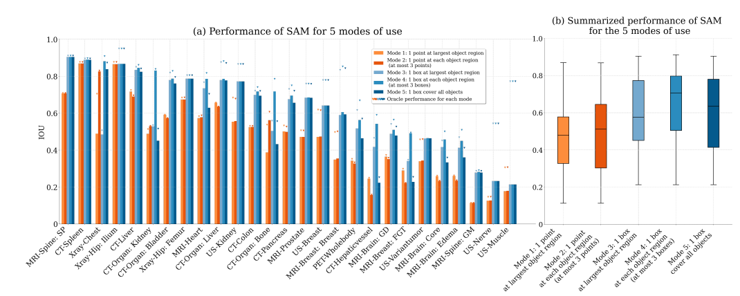 sam_on_medical_image_study.png