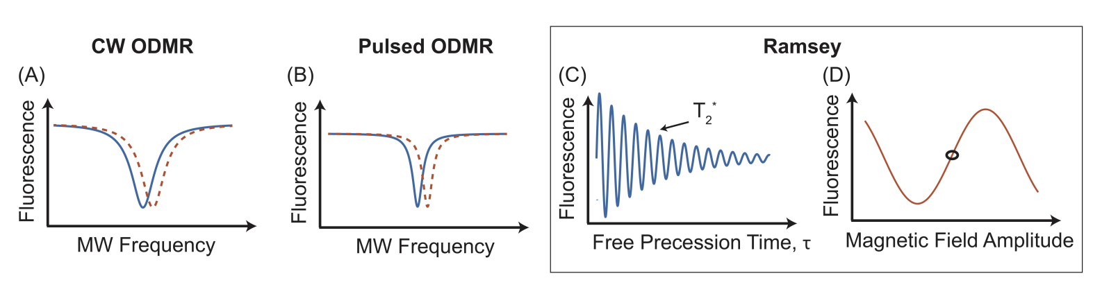 odmr-magnet.png