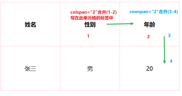 表格的基本使用