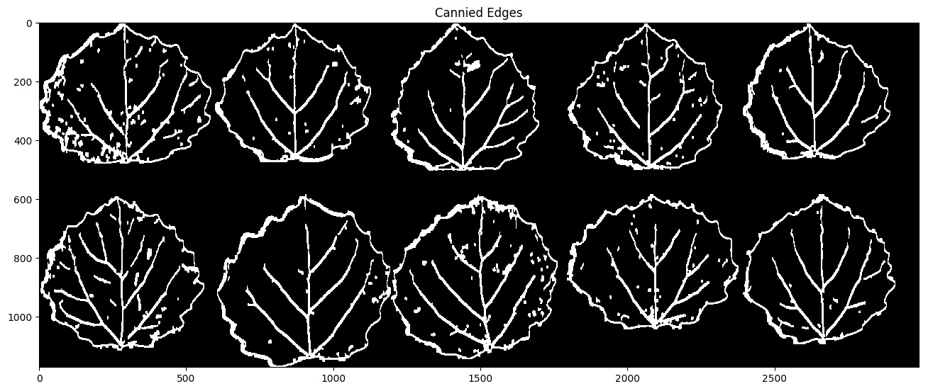 Cannied_Edges.jpg