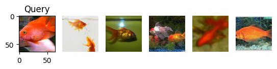 fish-results.jpg